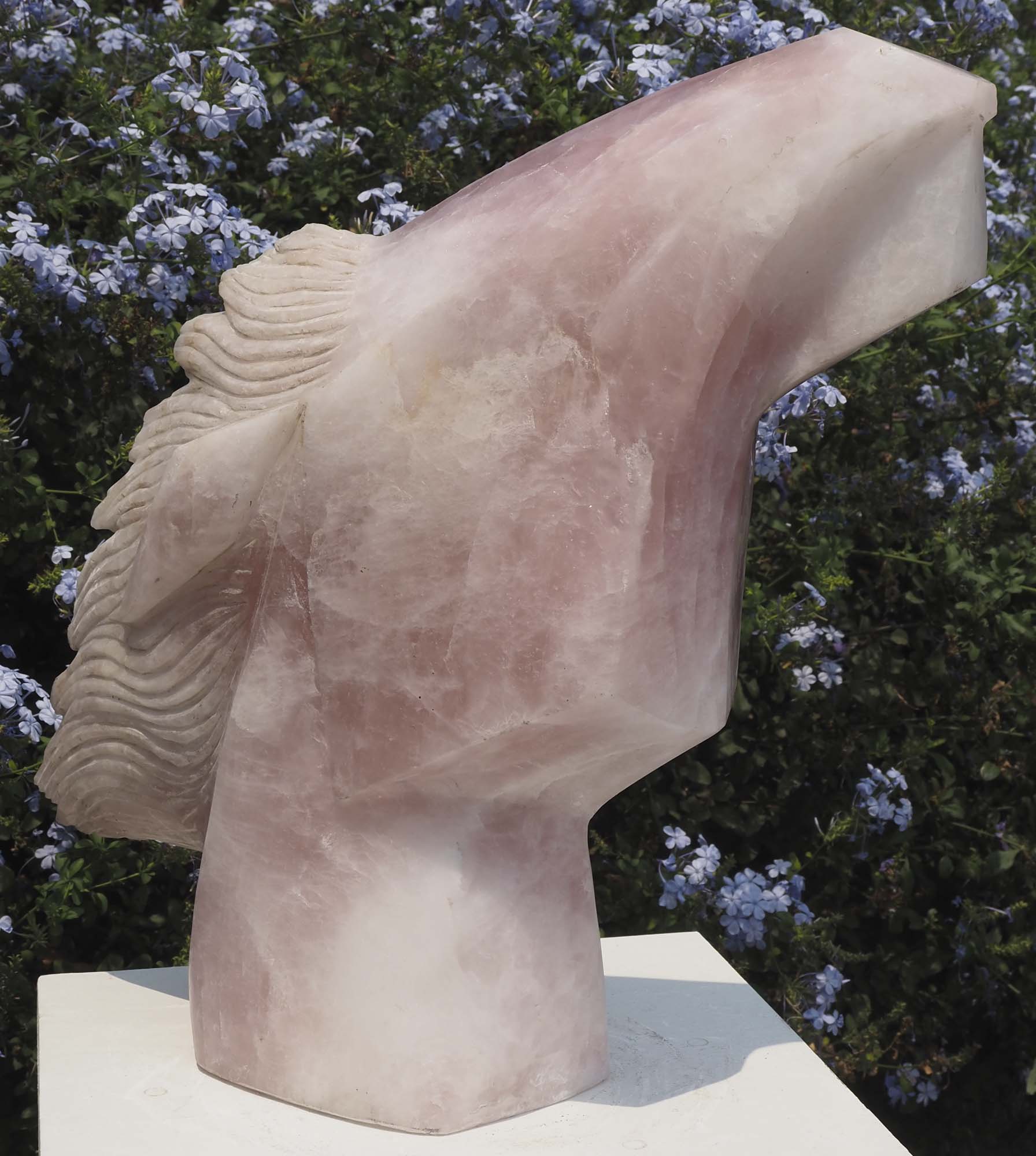 Horse head racehorse sculpture art - Startled Horse by Tendai Gwaravaza - left side, front