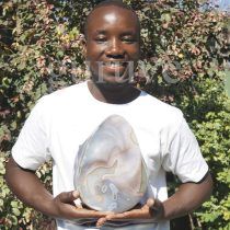 Young sculptor Michael Gwaravaza from Zimbabwe's Shona Sculpture movement