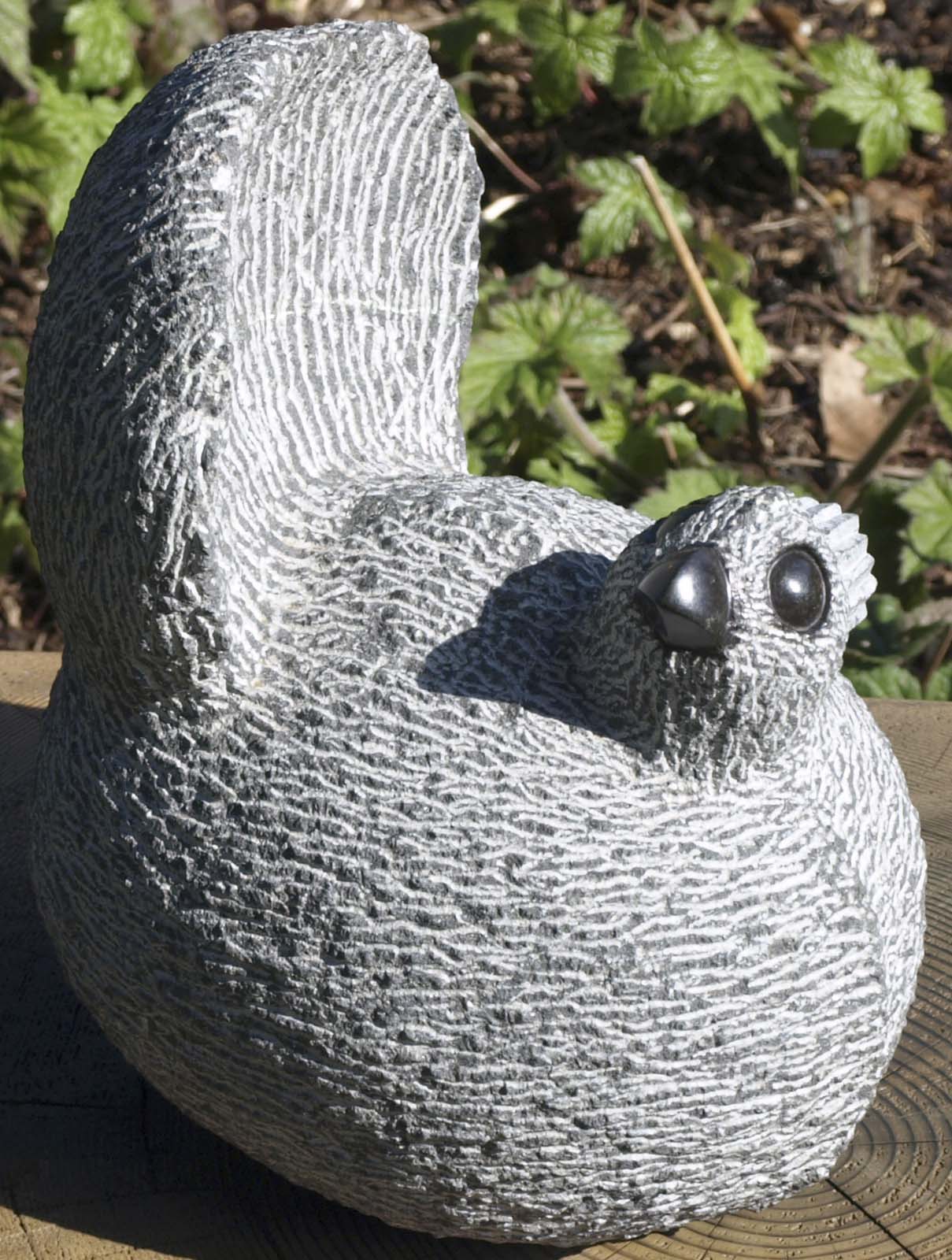 Fantail