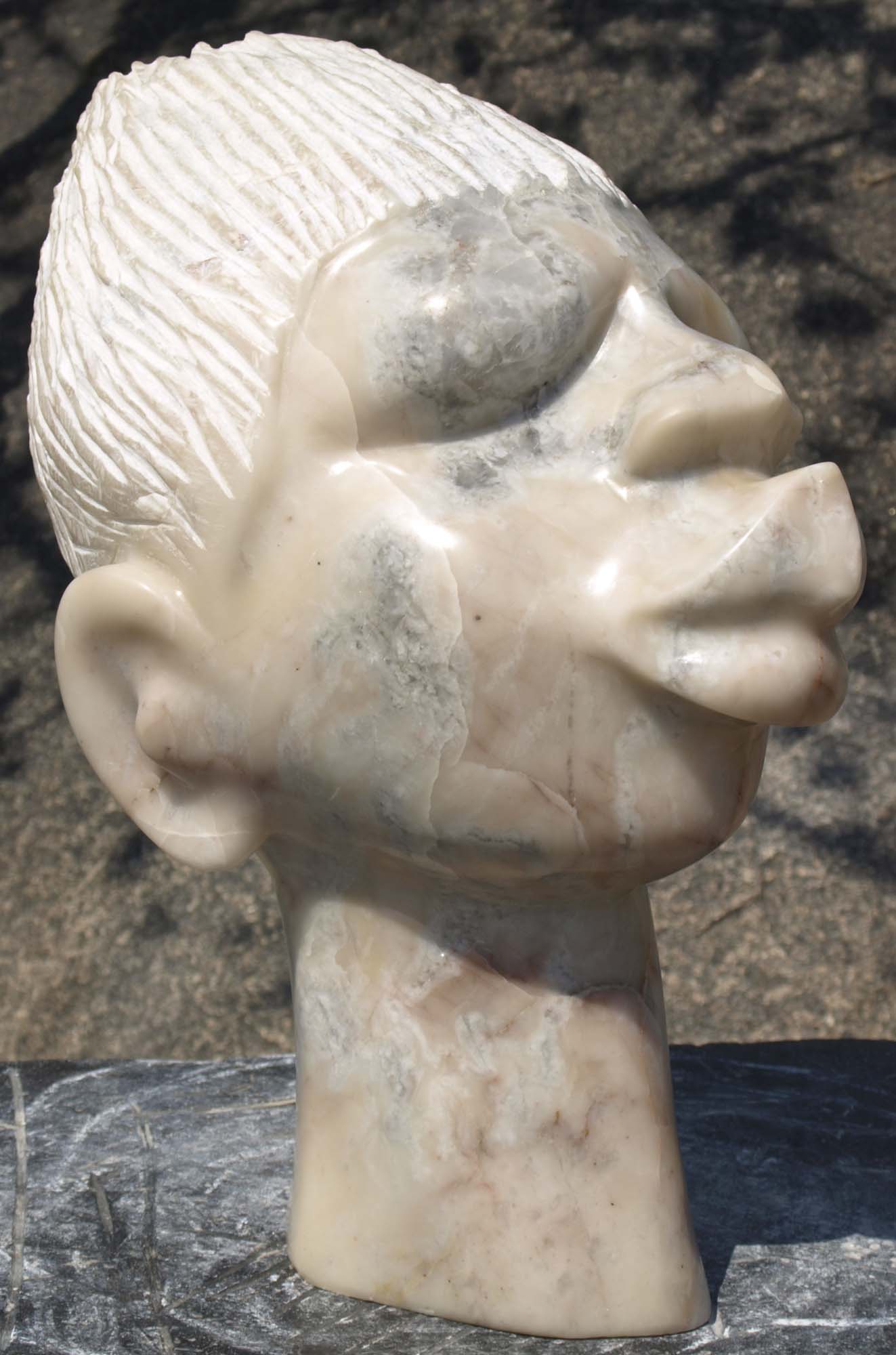 Portrait Of Tendai