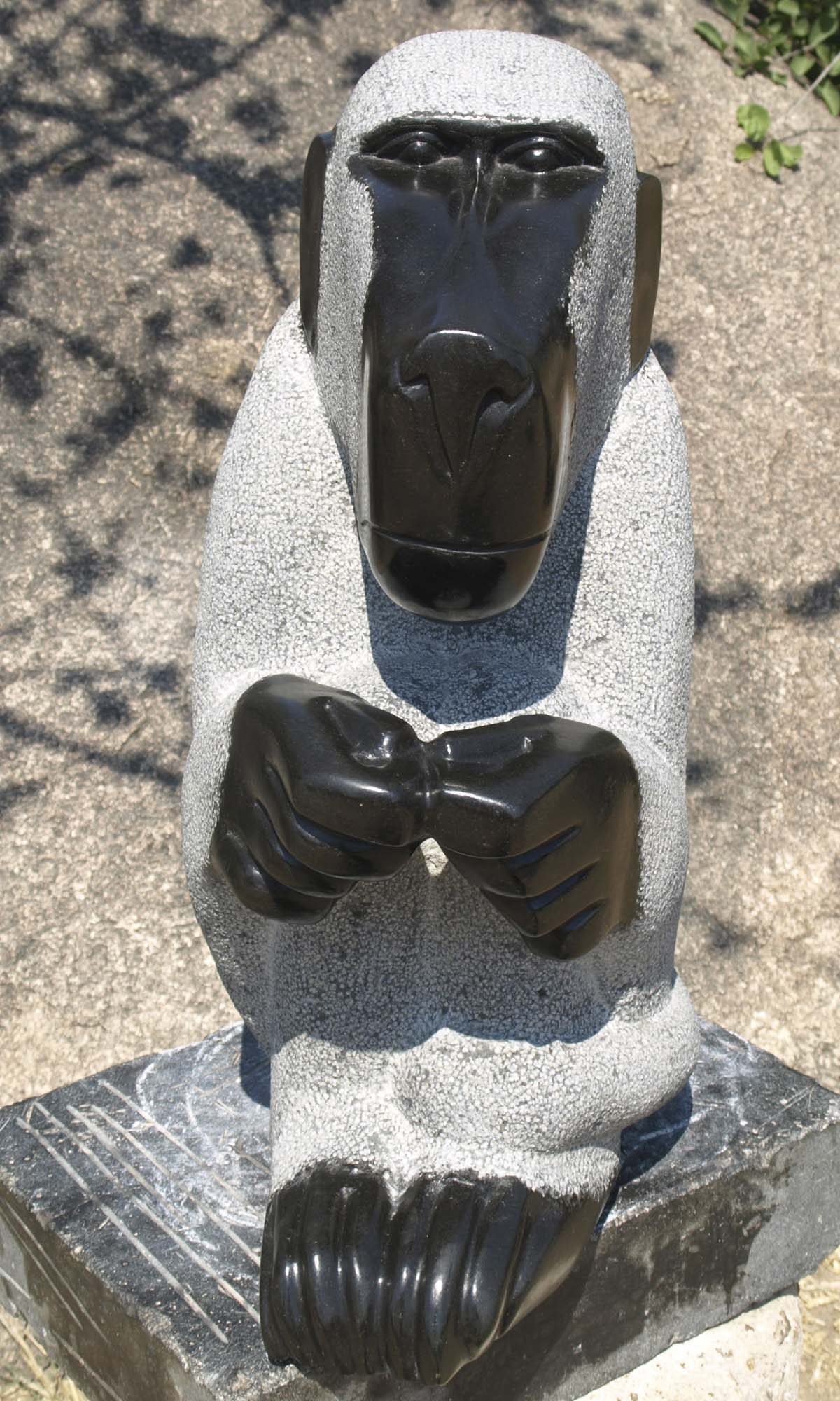Animal wildlife nature stone sculpture - 'Grooming Baboon' by Sylvester Mubayi - front