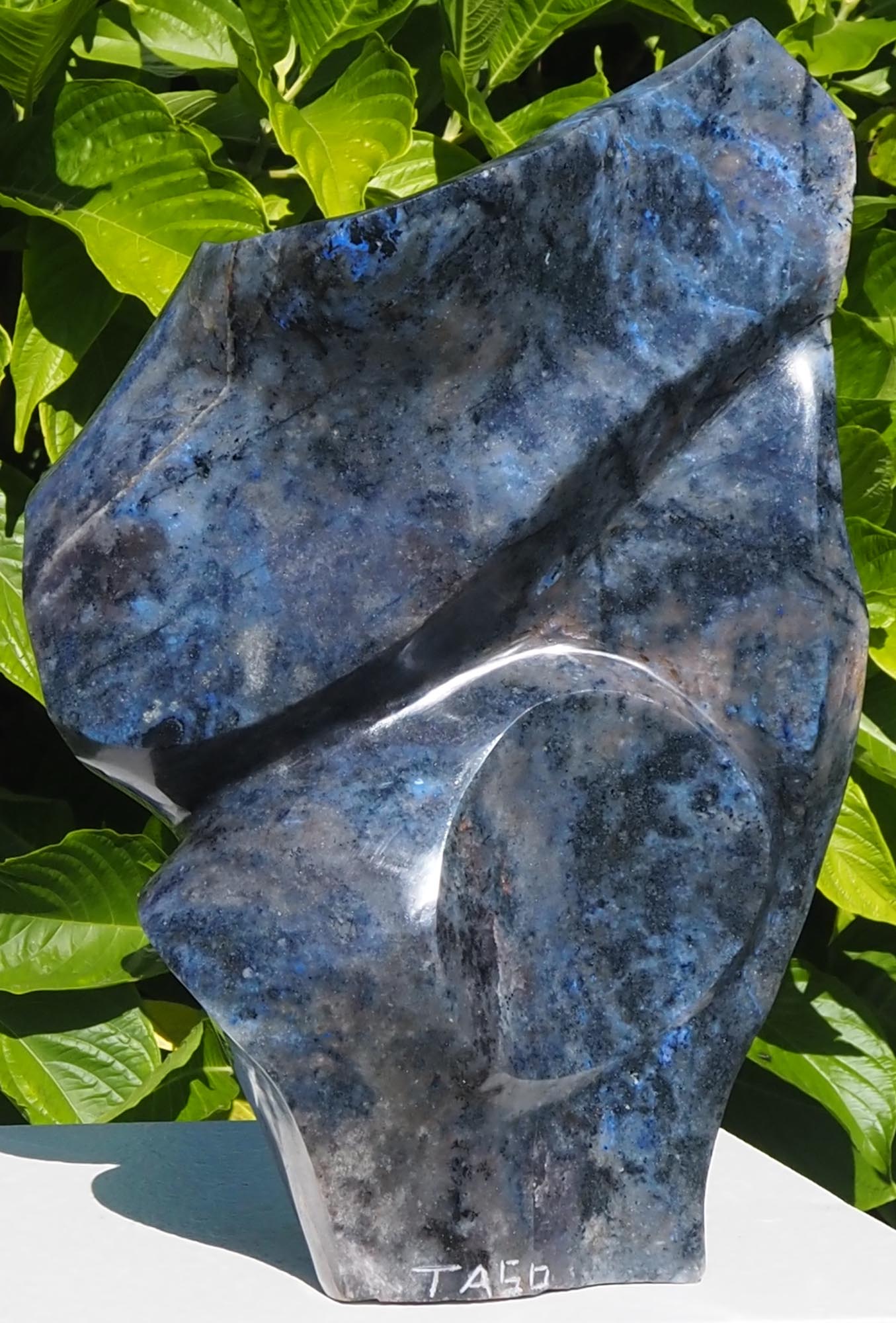 Blue bird semi-precious stone sculpture - Feels Like Love by Tago Tazvitya - back