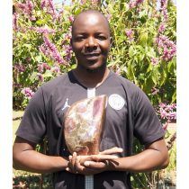 Zimbabwean artist Christopher Tigere Tandi stone sculpture sculptor Africa